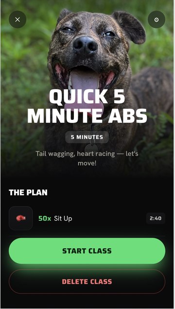FitCue class overview with plan and start